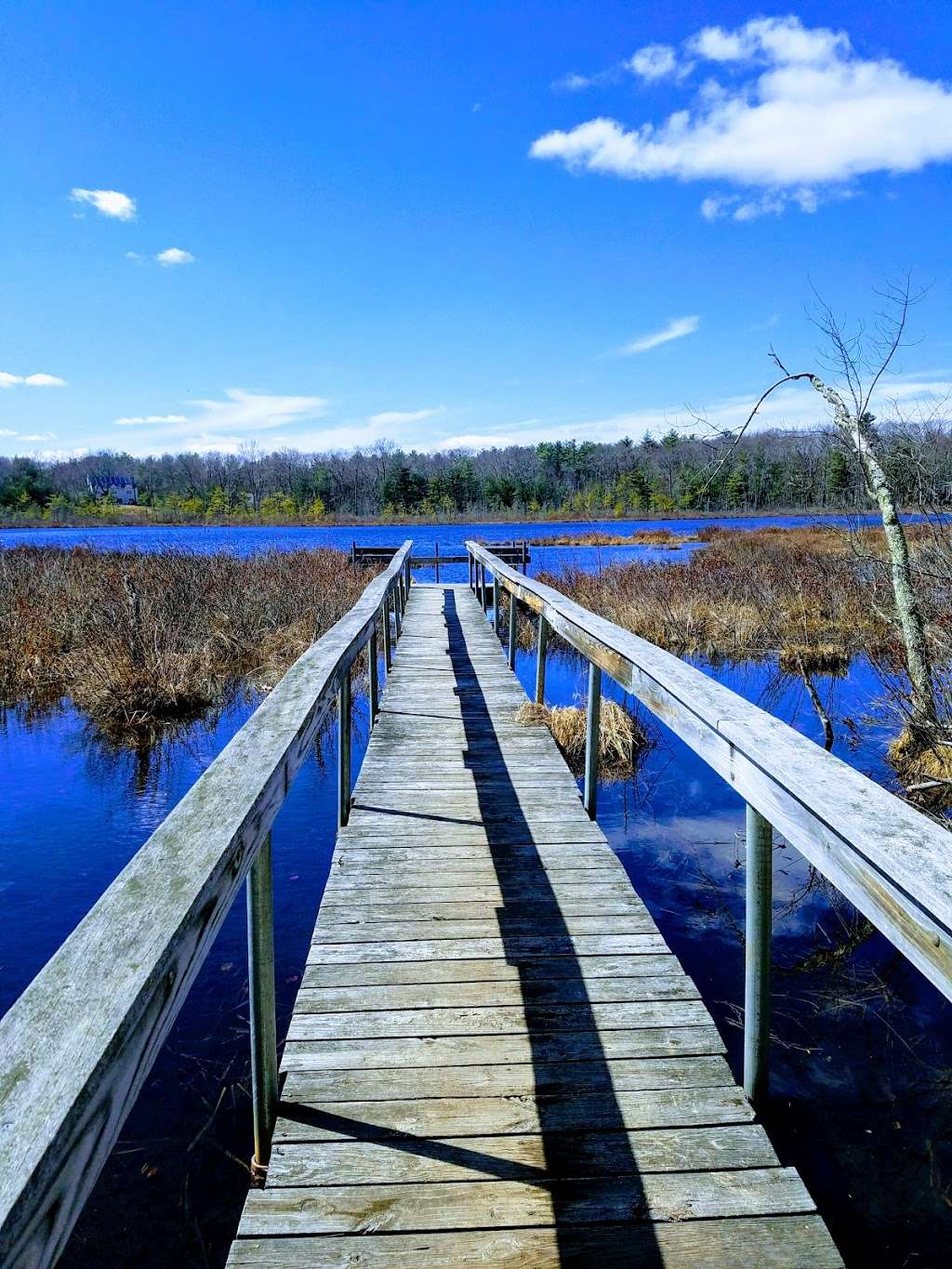 Grassy Pond Conservation Area | Acton, MA 01720, USA | Phone: (978) 929-6640