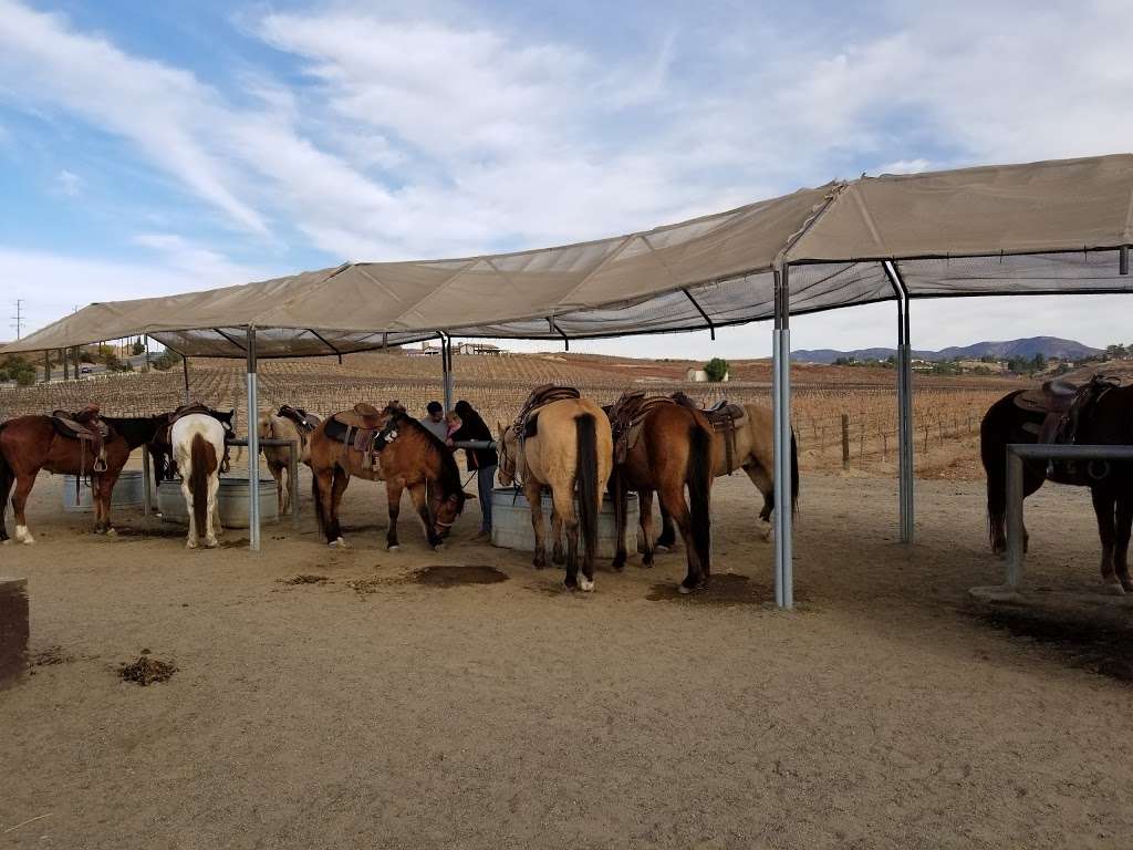 Wine Country Trails by Horseback | 34225 Rancho California Rd, Temecula, CA 92591, USA | Phone: (951) 852-7633