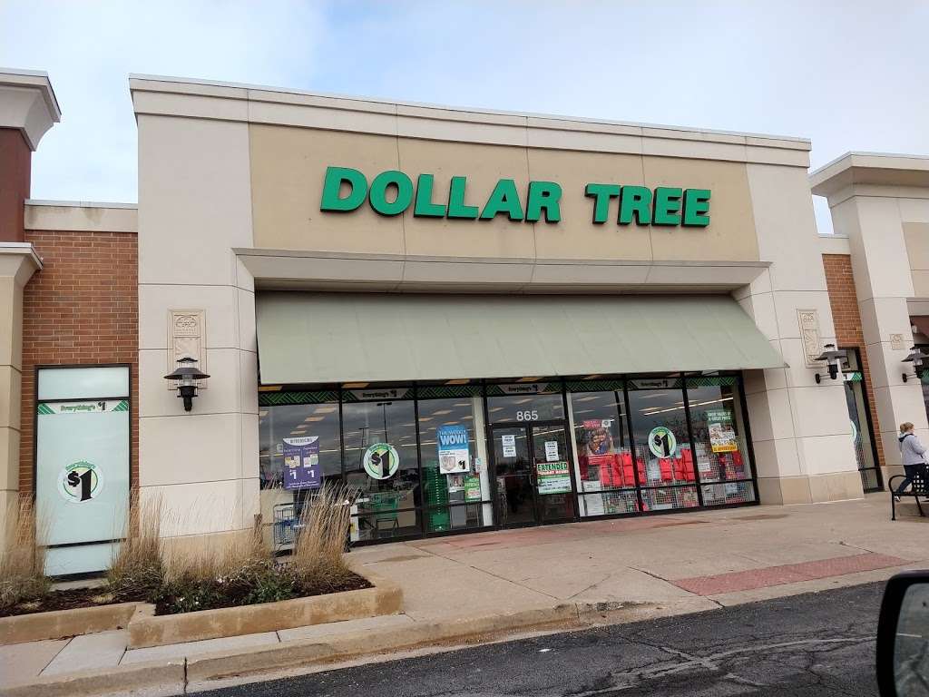 Dollar Tree | 865 Erica Ln, Yorkville, IL 60560, USA | Phone: (630) 553-6900