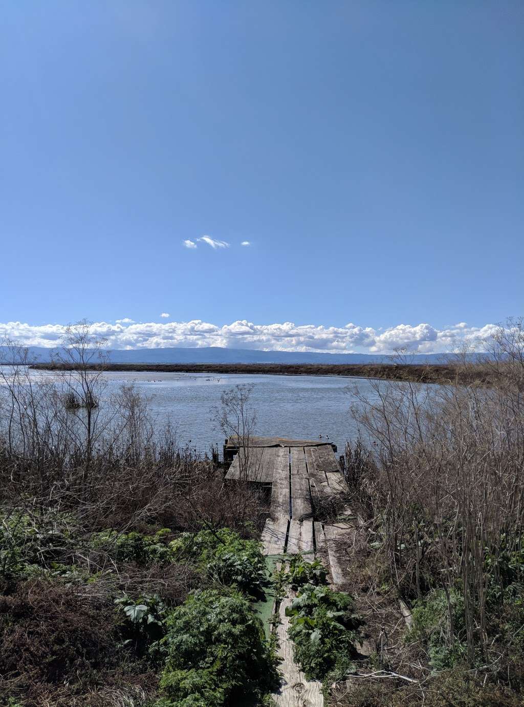 Coyote Creek Lagoon Trail | Fremont, CA 94538, USA