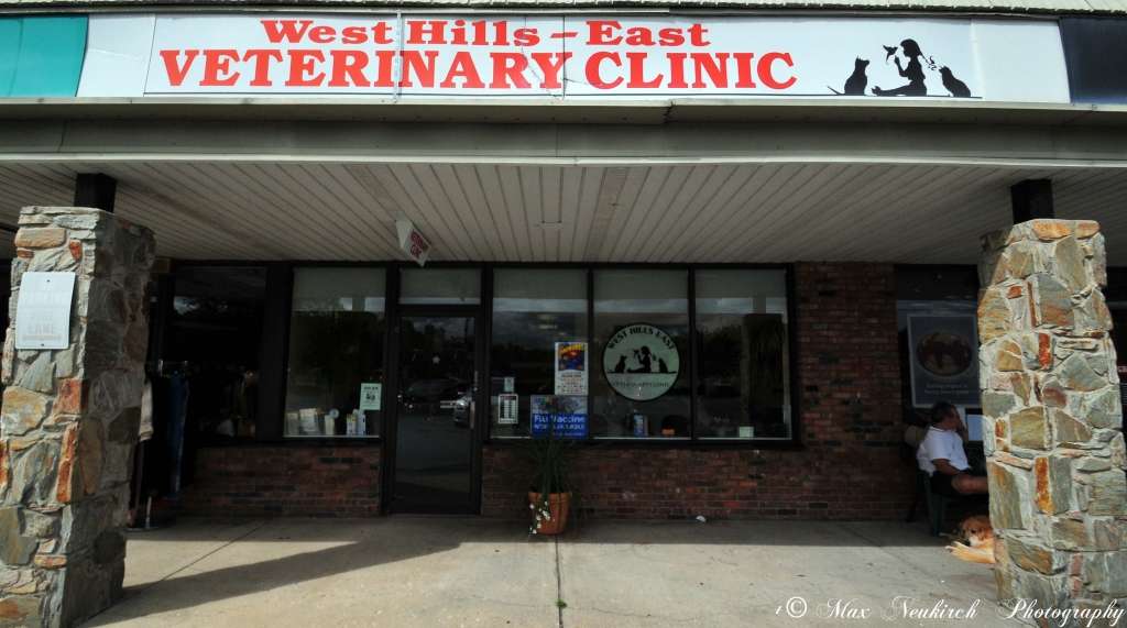 West Hills East Veterinary Clinic | 7 Vanderbilt Motor Pkwy, Commack, NY 11725, USA | Phone: (631) 462-0191
