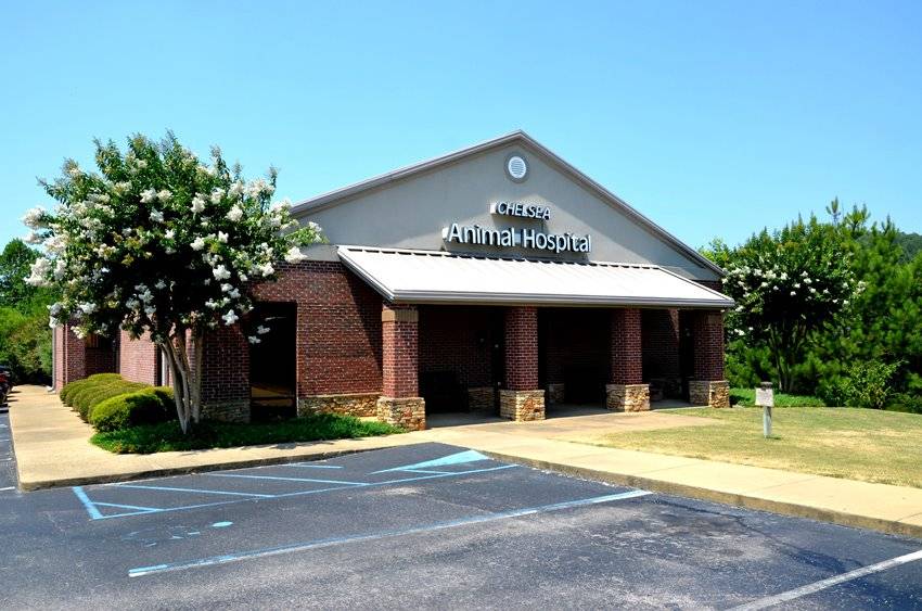 Chelsea Animal Hospital | 10591 Old Hwy 280, Chelsea, AL 35043, USA | Phone: (205) 678-8895