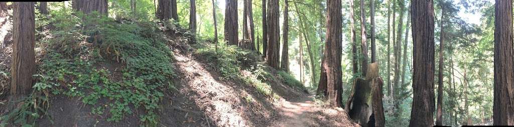 Upper DeLaveaga Loop Trailhead | Santa Cruz, CA 95065, USA