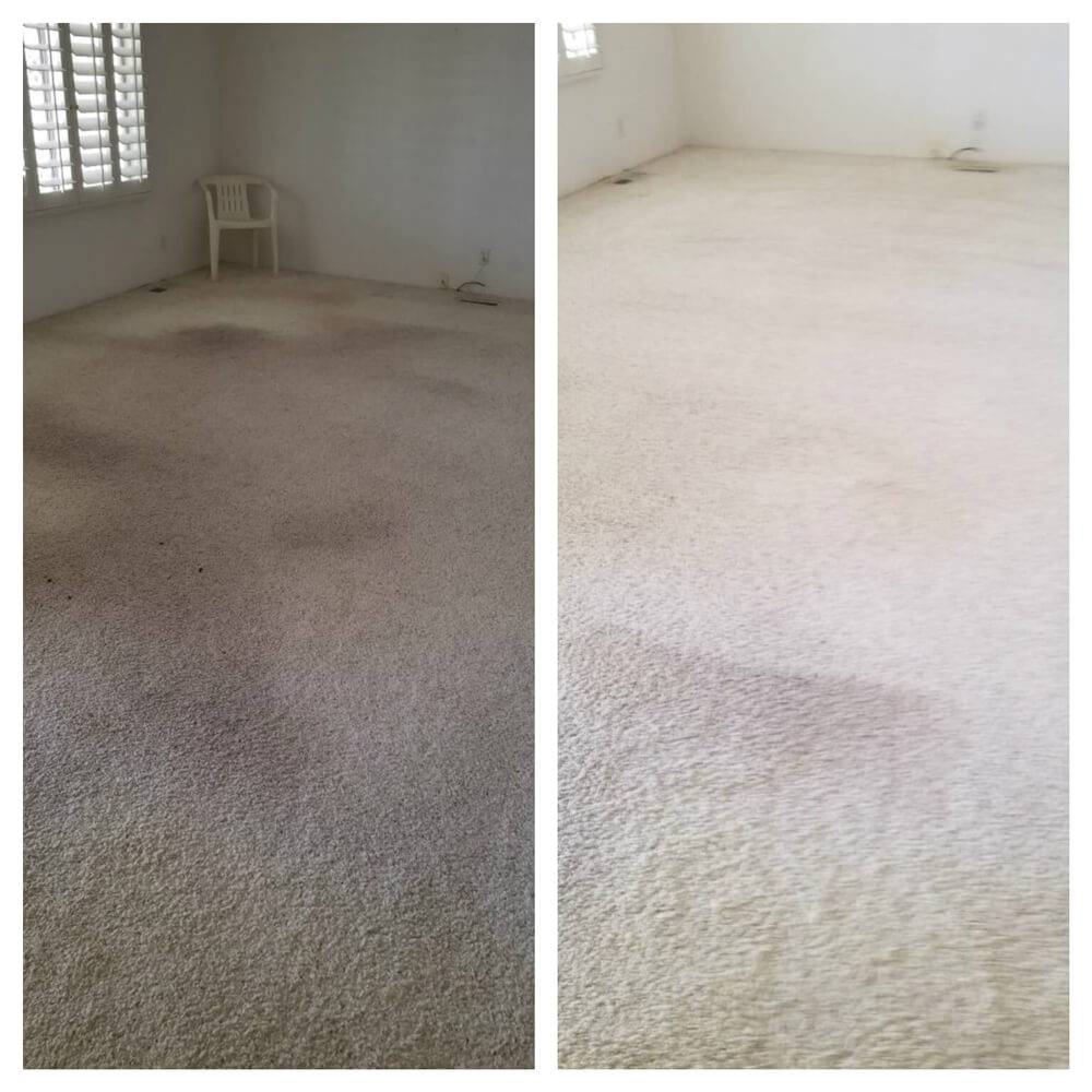 CALL TODAY Carpet Rug Cleaning LLC | 1257 1258 11th Ave # 2, San Francisco, CA 94122 | Phone: (310) 818-7220