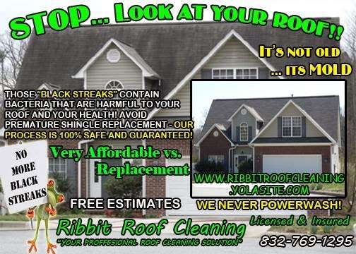 Ribbit Roof Cleaning | 5004 Pine St, Seabrook, TX 77586, USA | Phone: (832) 769-1295