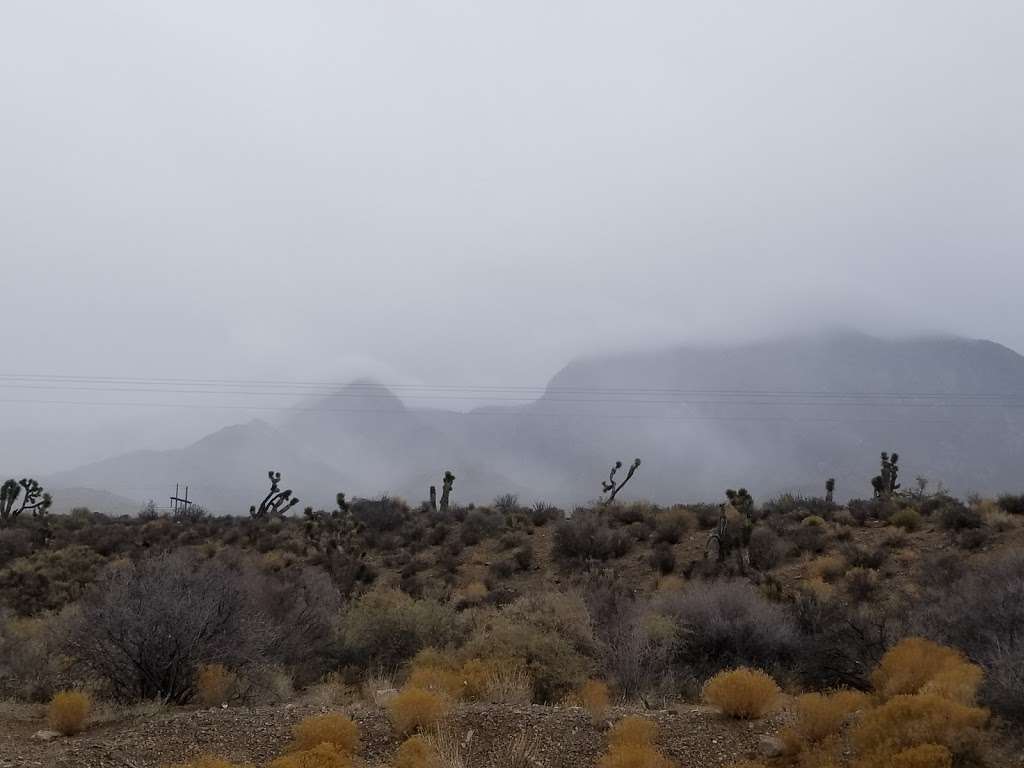 Toiyabe National Forest | 18175 NV-160, Las Vegas, NV 89161, USA