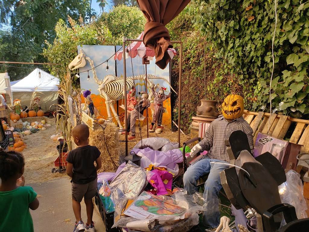 Piedmont Avenue Pumpkin Patch | 4414 Piedmont Ave, Oakland, CA 94611, USA | Phone: (510) 967-9363