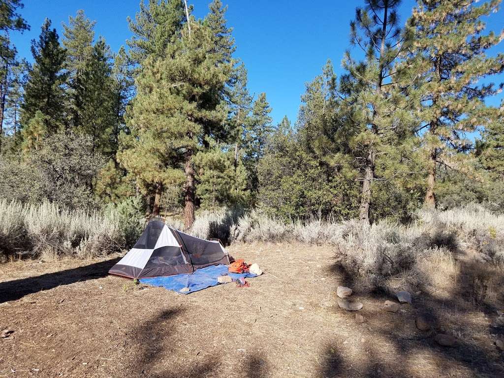 Pine Spring Campground | Maricopa, CA 93252, USA