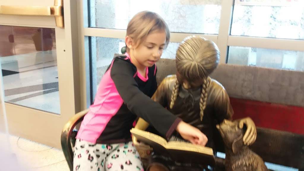 Carmel Clay Public Library | 55 4th Ave SE, Carmel, IN 46032, USA | Phone: (317) 814-3900