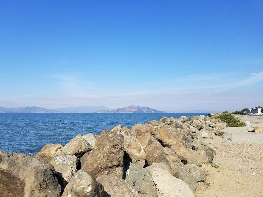 Great Lawn | Avenue of the Palms, San Francisco, CA 94130, USA | Phone: (415) 274-0688