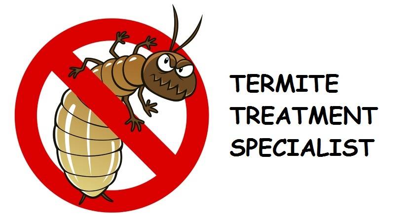 The Termite Inspector Company | 9621 Campo Rd suite b, Spring Valley, CA 91977, USA | Phone: (619) 741-8456