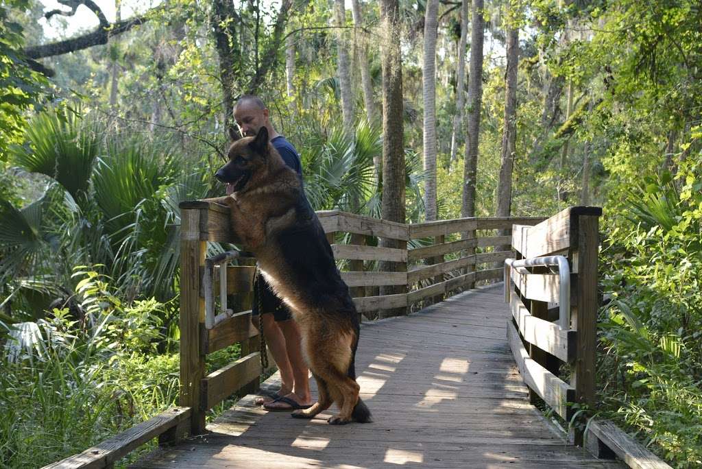 Noahs Ark Boarding Kennel | 3725 Marsh Rd, DeLand, FL 32724, USA | Phone: (386) 736-9848