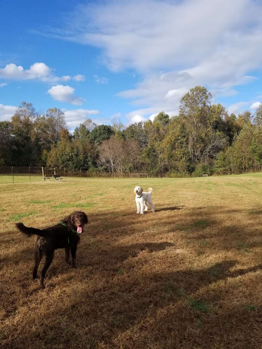 Grays Road Dog Park | 2695 Grays Rd, Prince Frederick, MD 20678