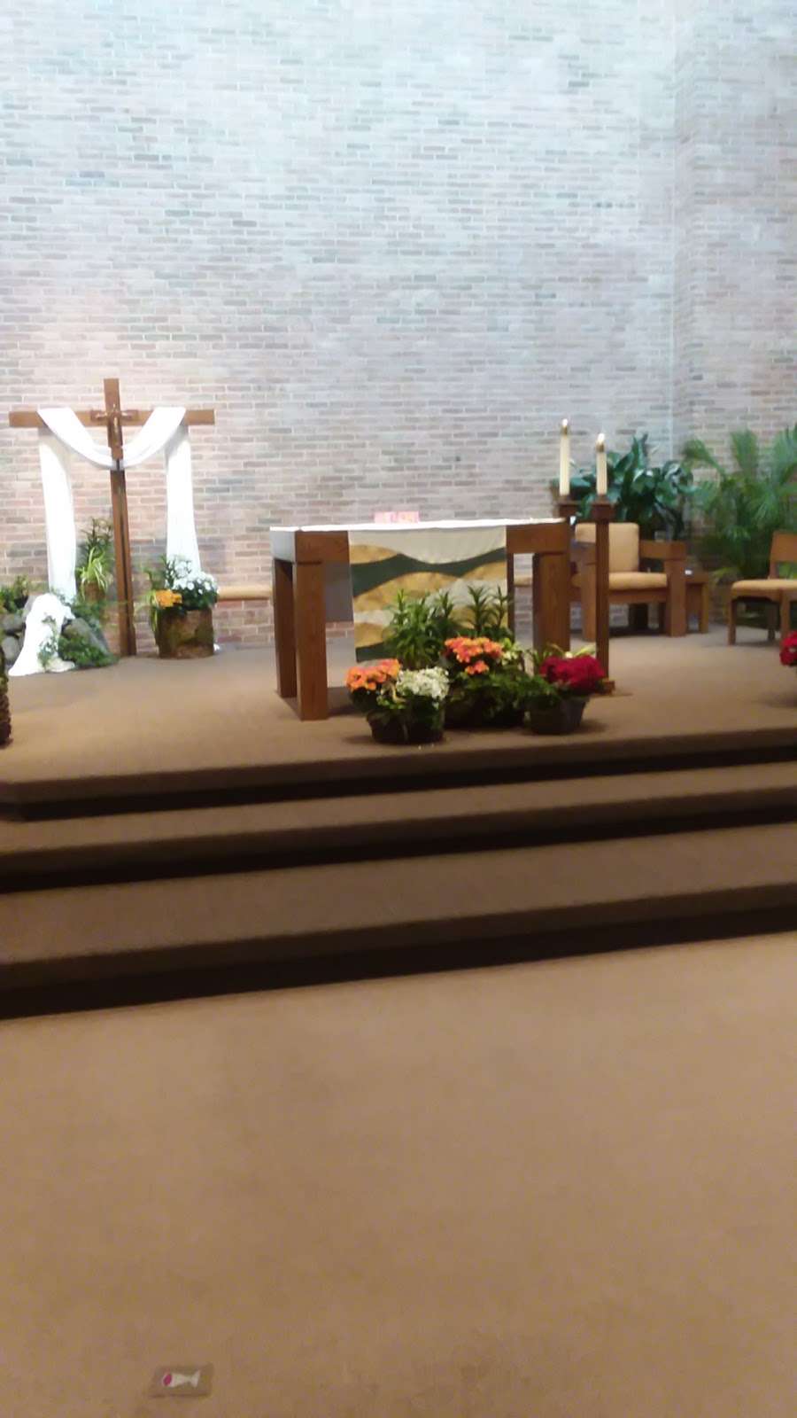 St Margaret Mary Catholic Church | 1450 Green Trails Dr, Naperville, IL 60540 | Phone: (630) 369-0777