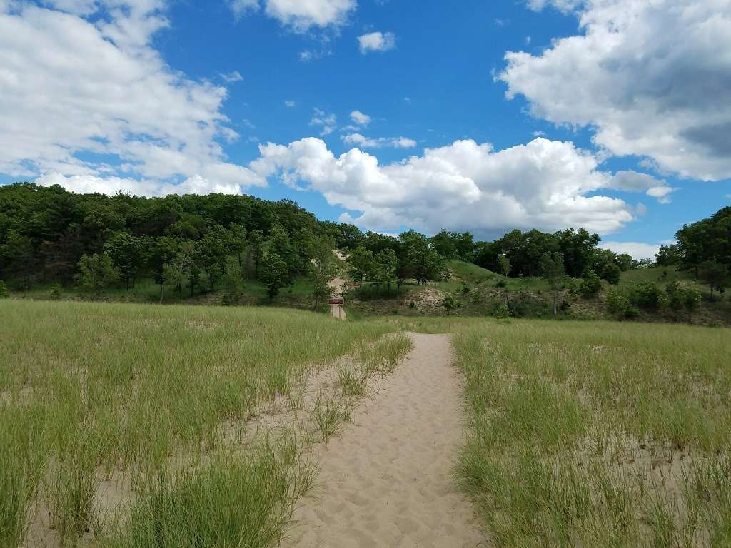 Cowles Bog Trail | 1618 N Mineral Springs Rd, Dune Acres, IN 46304, USA | Phone: (219) 395-1882