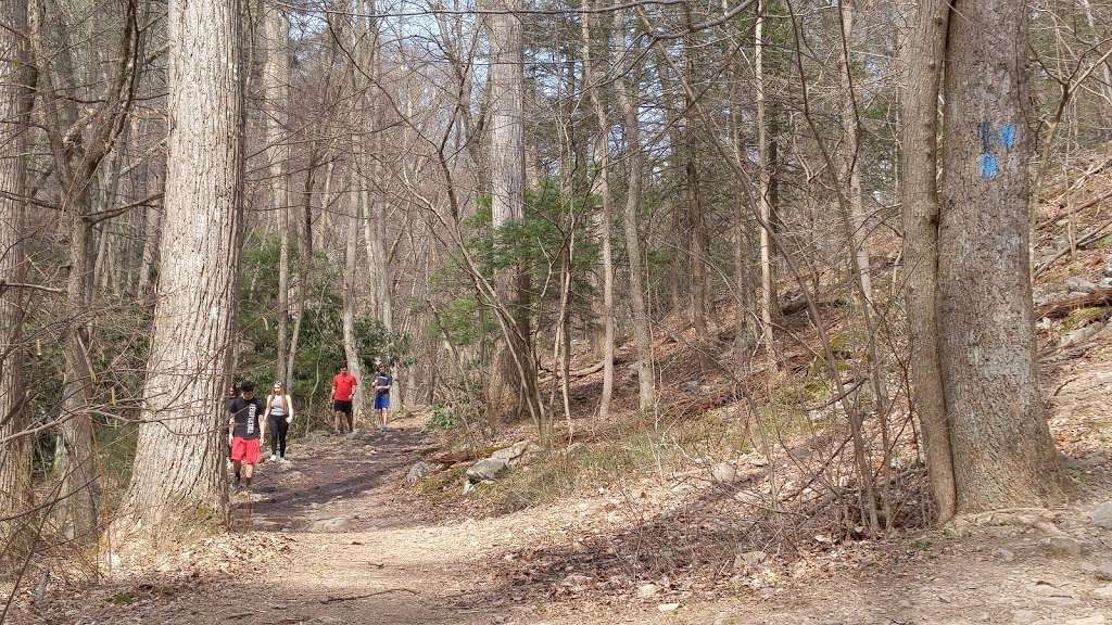 Dunnfield Creek Natural Area trailhead | 40°5818. 75°0733., 9 N 3rd St, Stroudsburg, PA 18360, USA