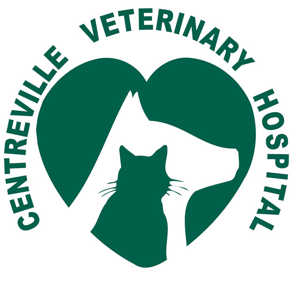 Centreville Veterinary Hospital | 5804 Kennett Pike, Wilmington, DE 19807 | Phone: (302) 655-3315