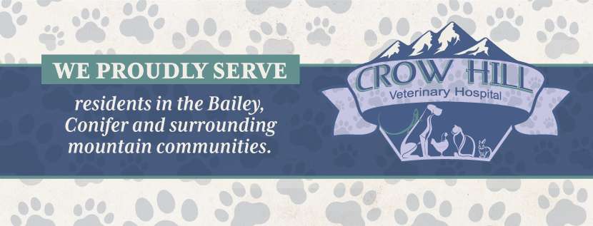 Crow Hill Veterinary Hospital | 460 Co Rd 43 #2, Bailey, CO 80421, USA | Phone: (303) 838-4677