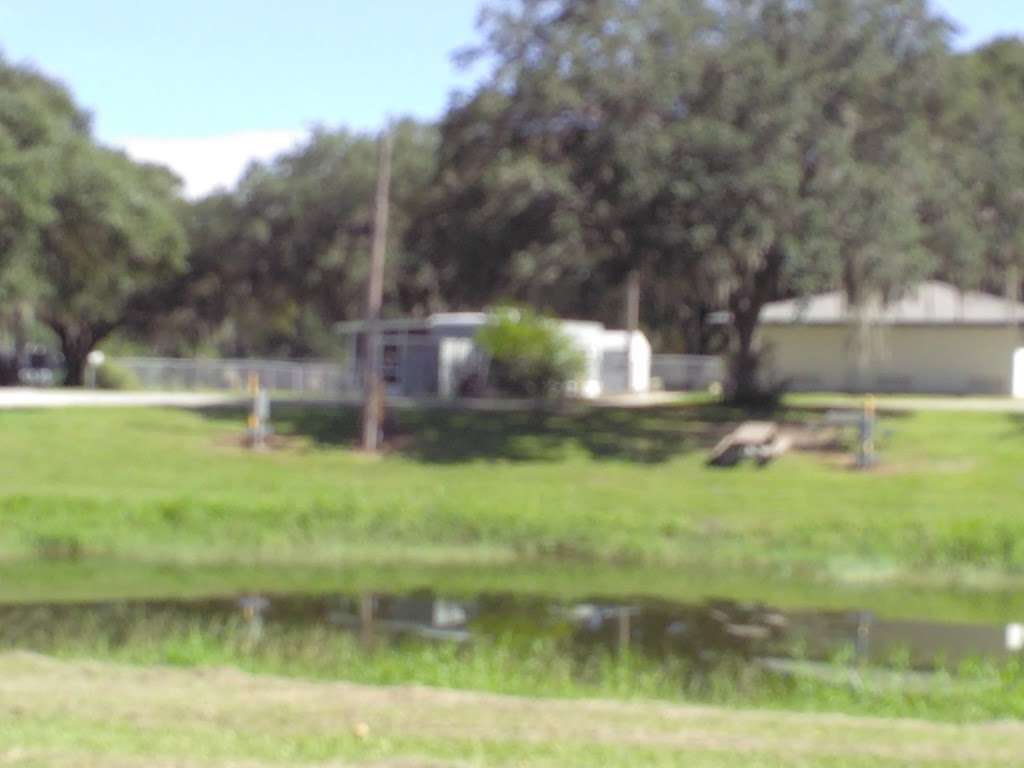 Saddle Creek Campground | 3716 Morgan Combee Rd, Lakeland, FL 33801, USA | Phone: (863) 413-2399