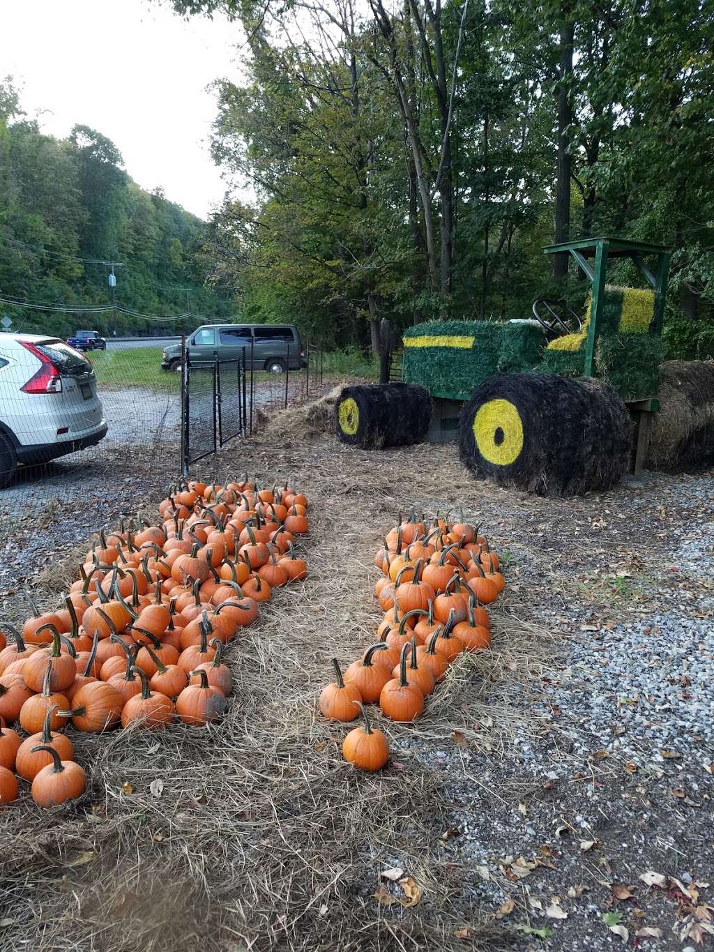 Blackburn Growers & Garden Center | 46 US-206, Branchville, NJ 07826, USA | Phone: (973) 948-3700