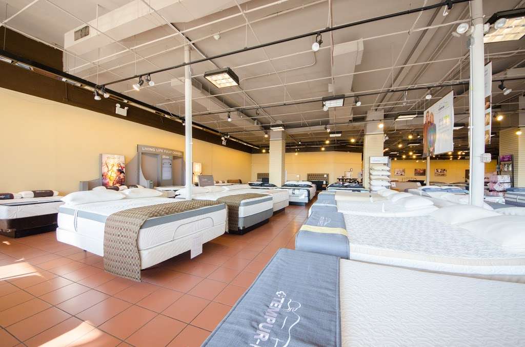 The Mattress Factory | 730 Baltimore Pike, Springfield, PA 19064 | Phone: (610) 544-1600