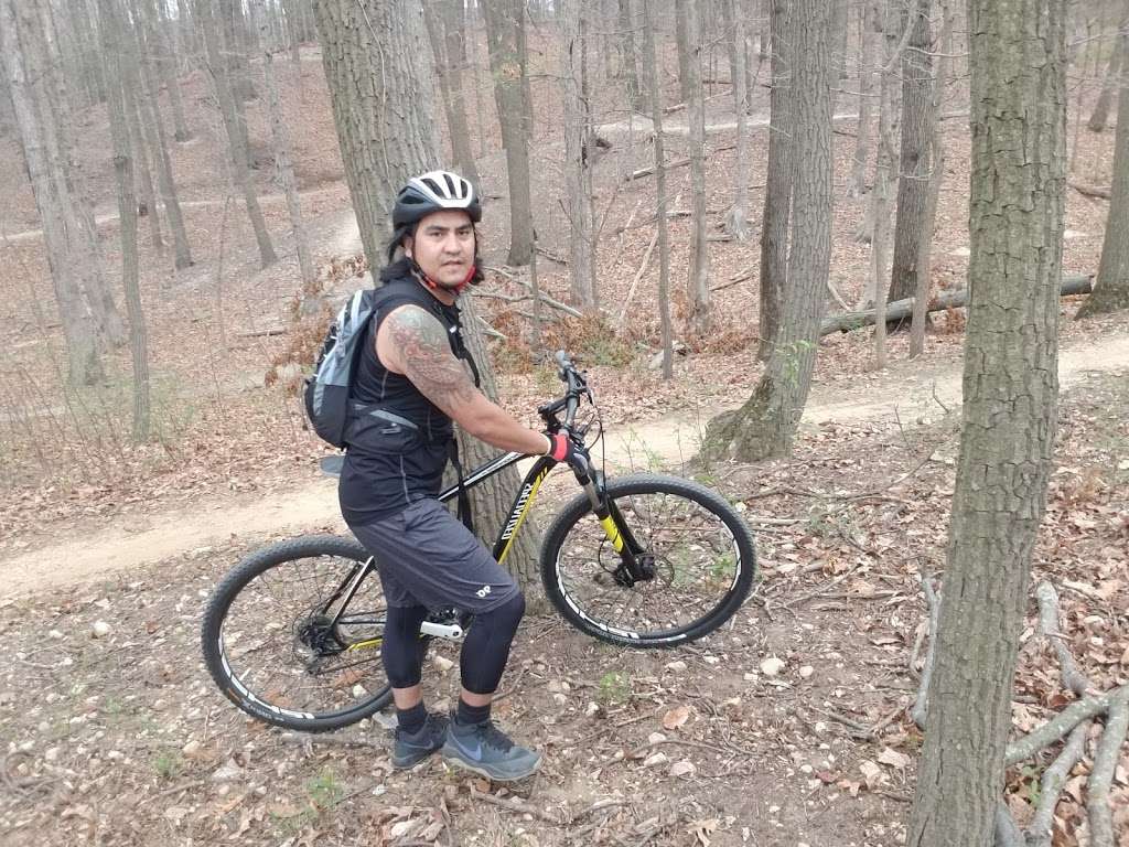 laurel hill mountain bike trails