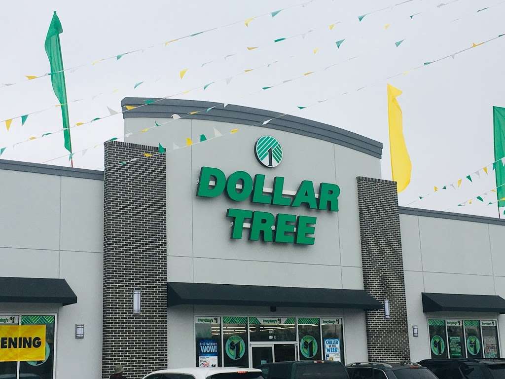 Dollar Tree | Houston, TX 77038