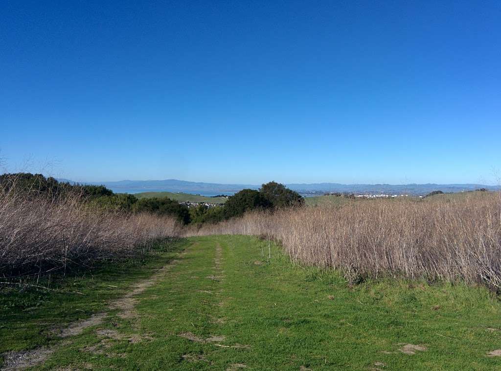 Sobrante Ridge Regional Preserve | 5170 Coach Dr, Richmond, CA 94803 | Phone: (888) 327-2757