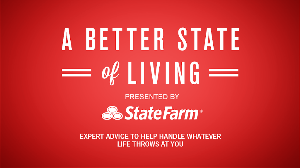 Dave Majerek - State Farm Insurance Agent | 21 N Elm St #3, Three Oaks, MI 49128, USA | Phone: (269) 756-9567