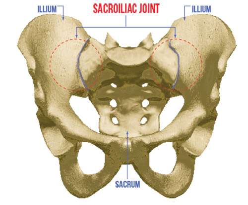 South Scottsdale - Bluestone Chiropractic | 2765 N Scottsdale Rd #108, Scottsdale, AZ 85257, USA | Phone: (480) 966-1818