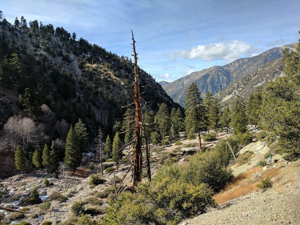 Icehouse Canyon Trailhead | Ice House Canyon Rd, Mt Baldy, CA 91759, USA | Phone: (626) 335-1251