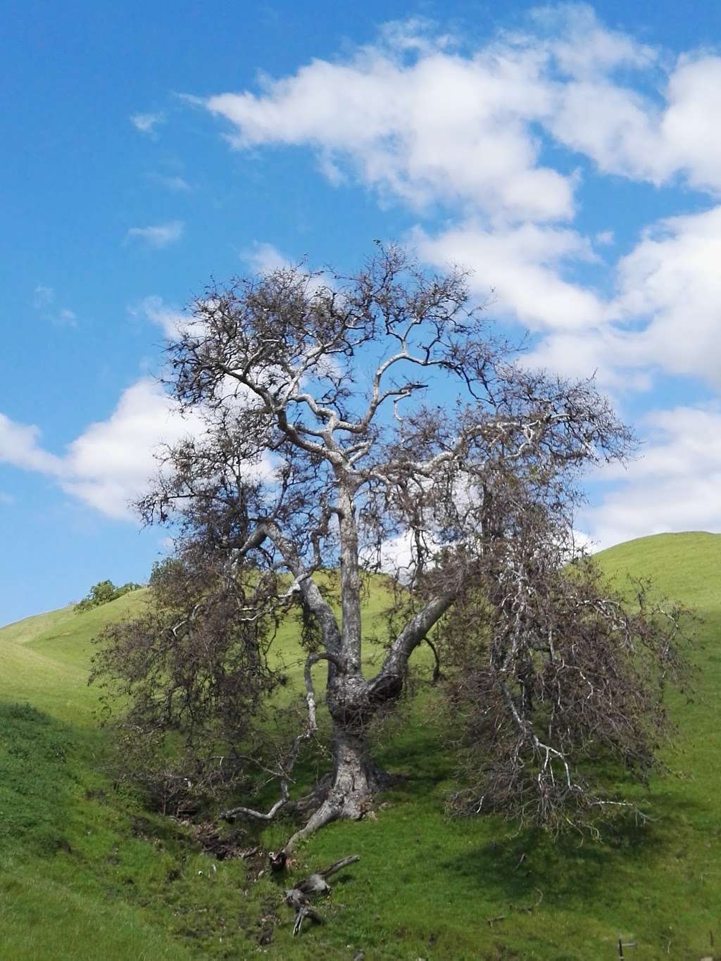 Sunol Visitor Center | Geary Rd, Fremont, CA 94539, USA | Phone: (888) 327-2757