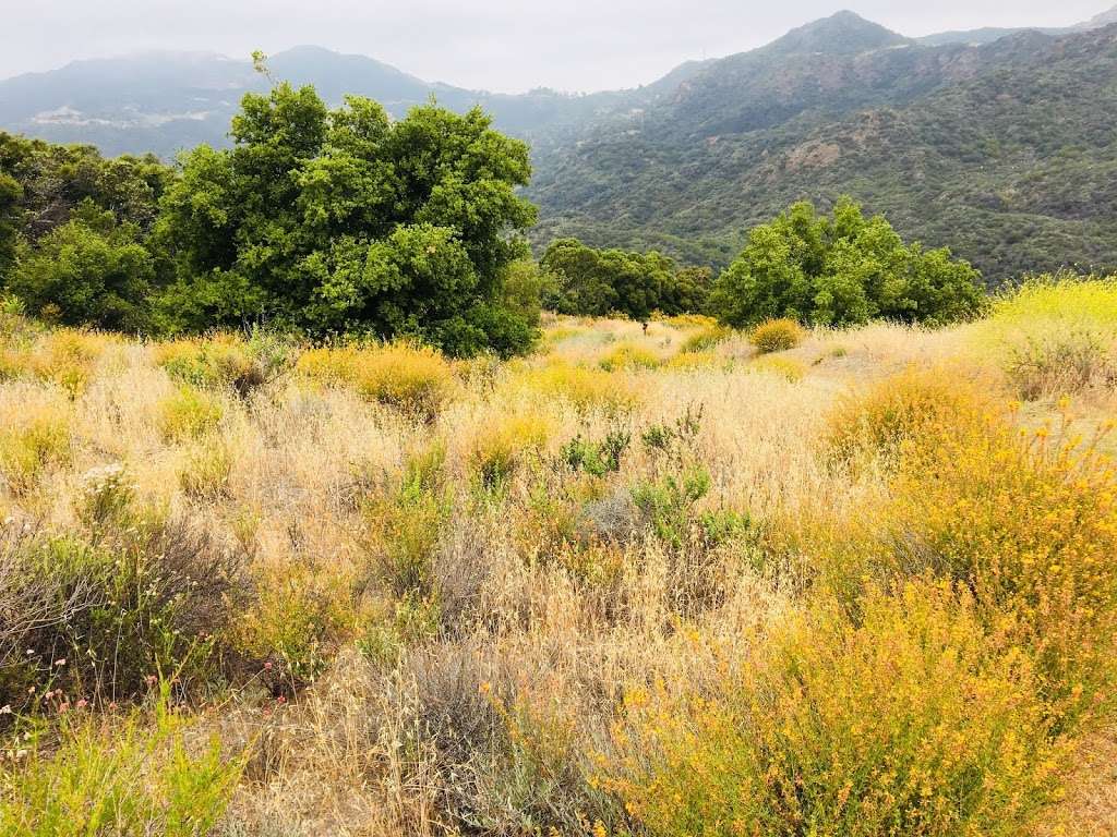 Backbone Trail - Encinal Canyon Trailhead | Encinal Canyon Rd, Malibu, CA 90265, USA | Phone: (805) 370-2301