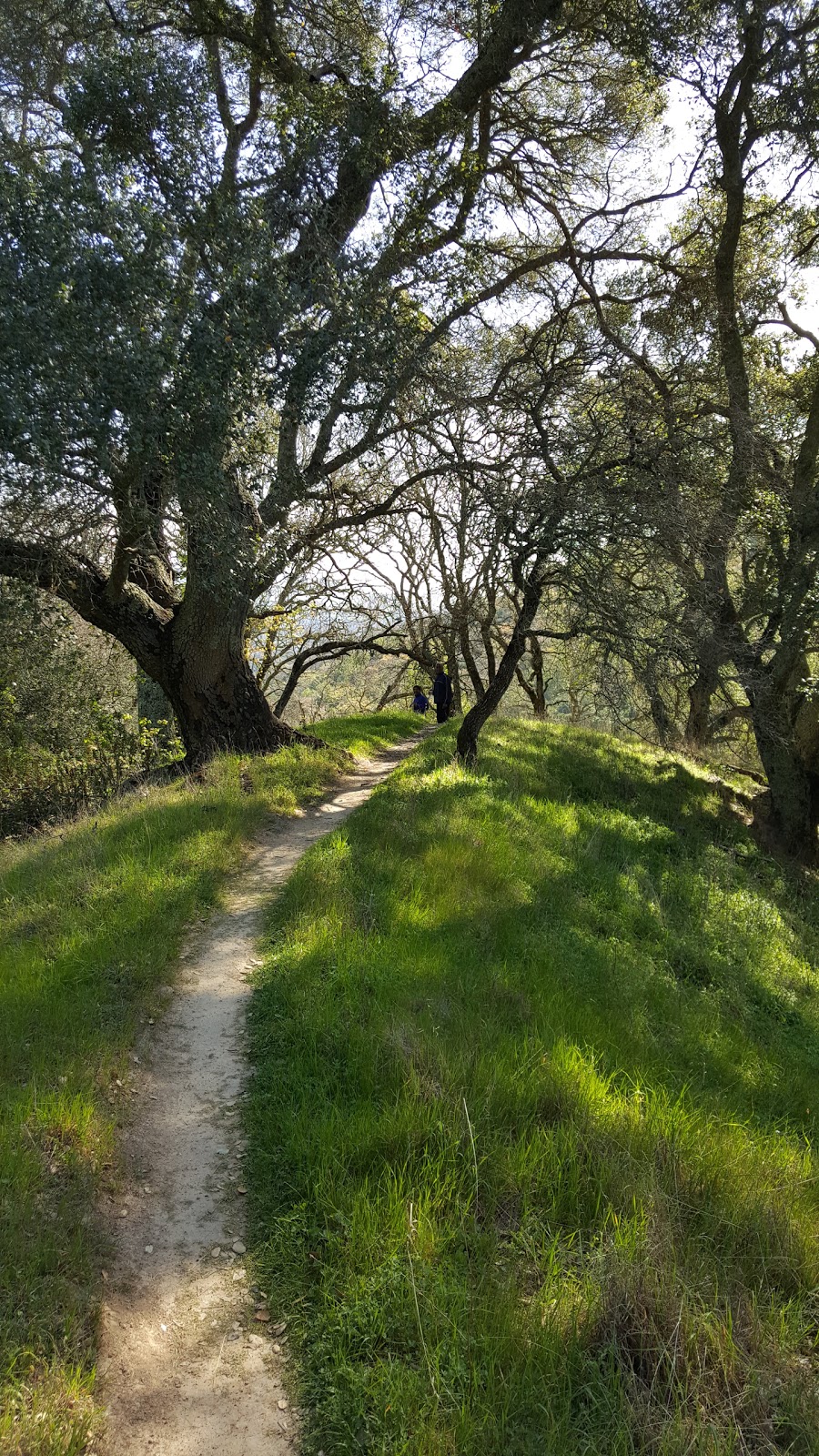 Wildcat Group Campground | Unnamed Road, Walnut Creek, CA 94598, USA