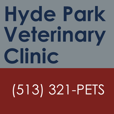 Hyde Park Veterinary Clinic | 3667 Paxton Ave, Cincinnati, OH 45208, USA | Phone: (513) 321-7387