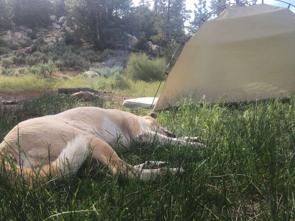 Horse Flats Campground | Pearblossom, CA 93553