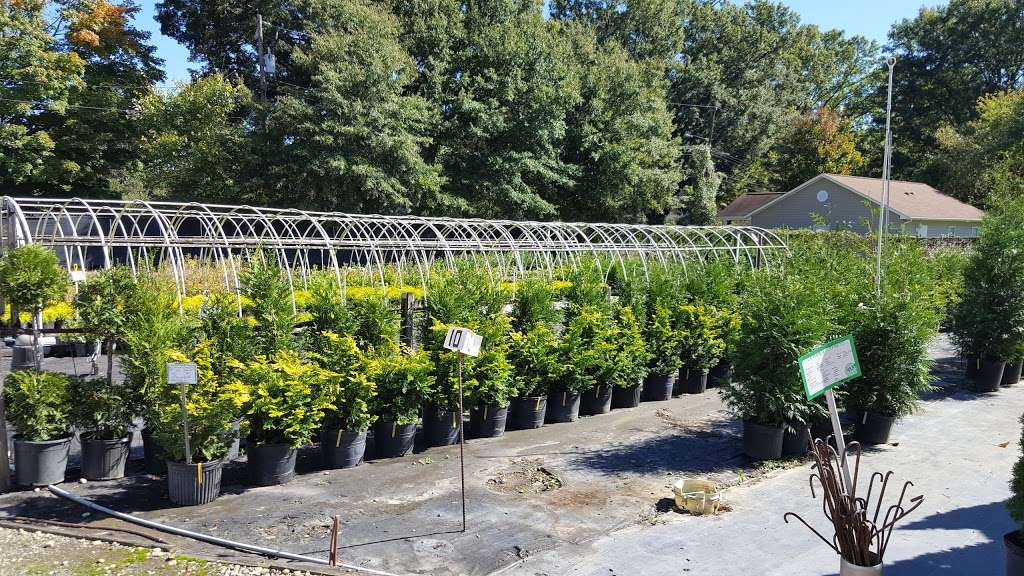 Oakdale Greenhouses, LLC | 5626 Statesville Rd, Charlotte, NC 28269, USA | Phone: (704) 596-4052