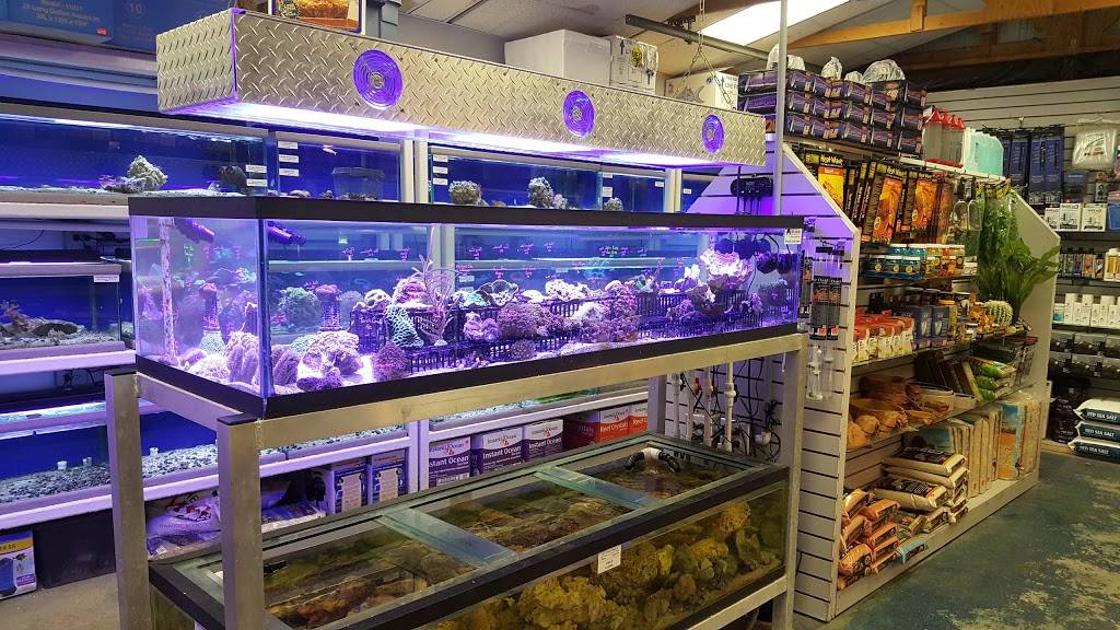 Emerald Bay Fish & Reptile | 3810 Old Hickory Blvd, Old Hickory, TN 37138, USA | Phone: (615) 357-0446