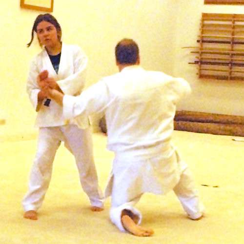 Bay Area Center With Aikido | 3009 FM 517 Rd E, Dickinson, TX 77539, USA | Phone: (281) 337-5893