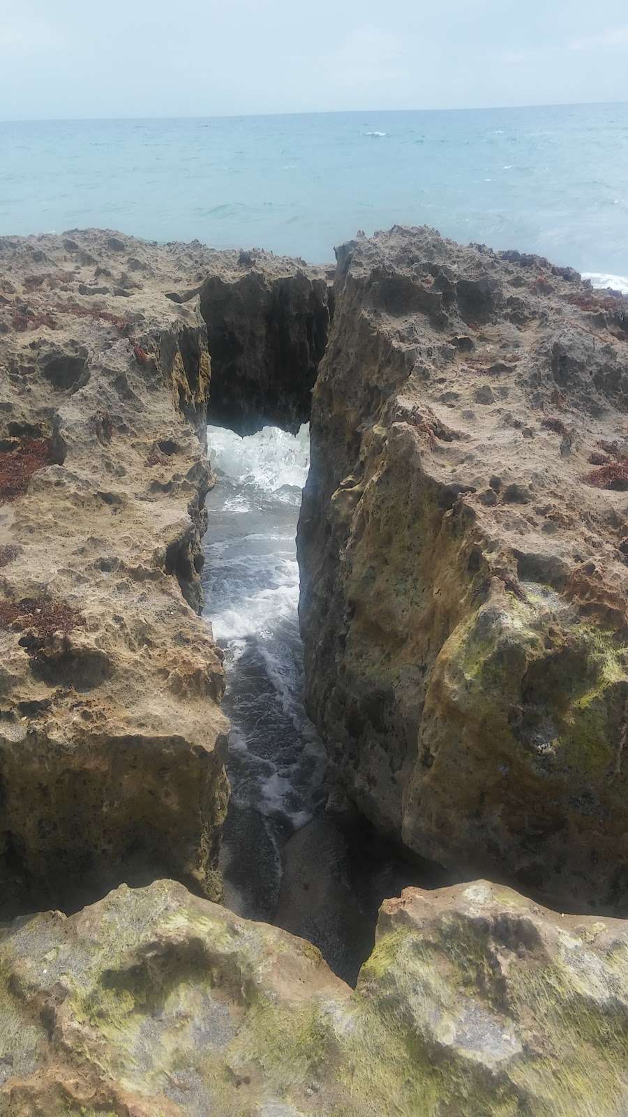 Nature Conservancy Blowing Rocks | 575 S Beach Rd, Hobe Sound, FL 33455, USA | Phone: (561) 744-6668