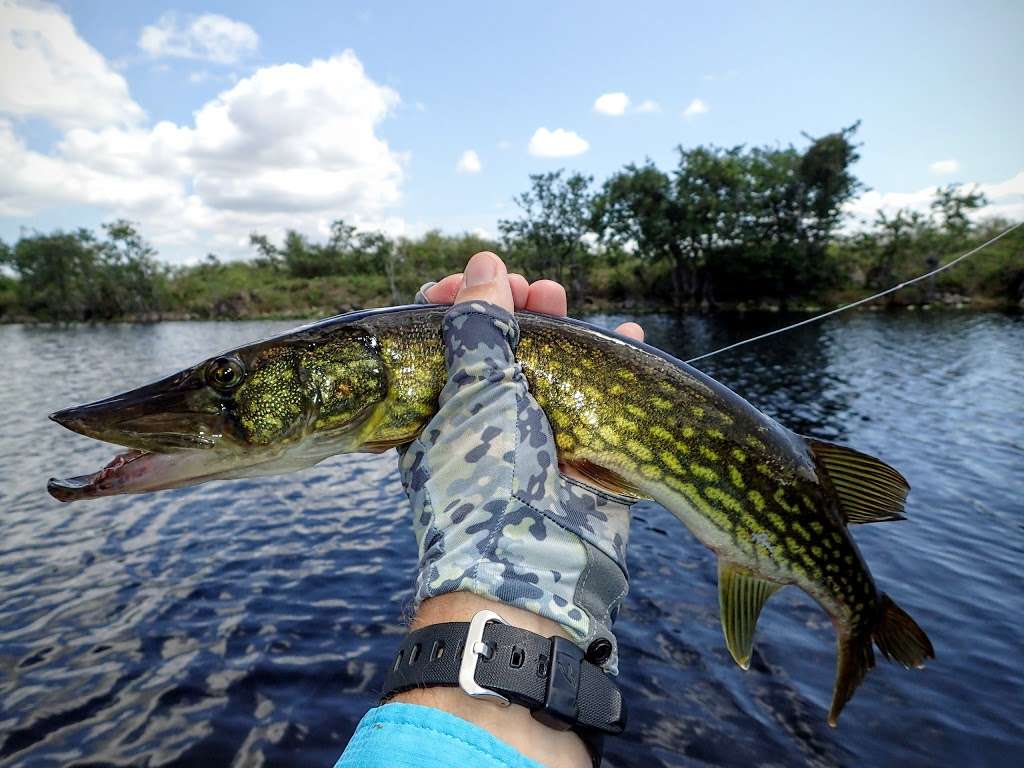 Macks Fish Camp - Gladesmen Airboat Tours | Danell Ln, Miramar, FL 33029, USA | Phone: (954) 536-7400