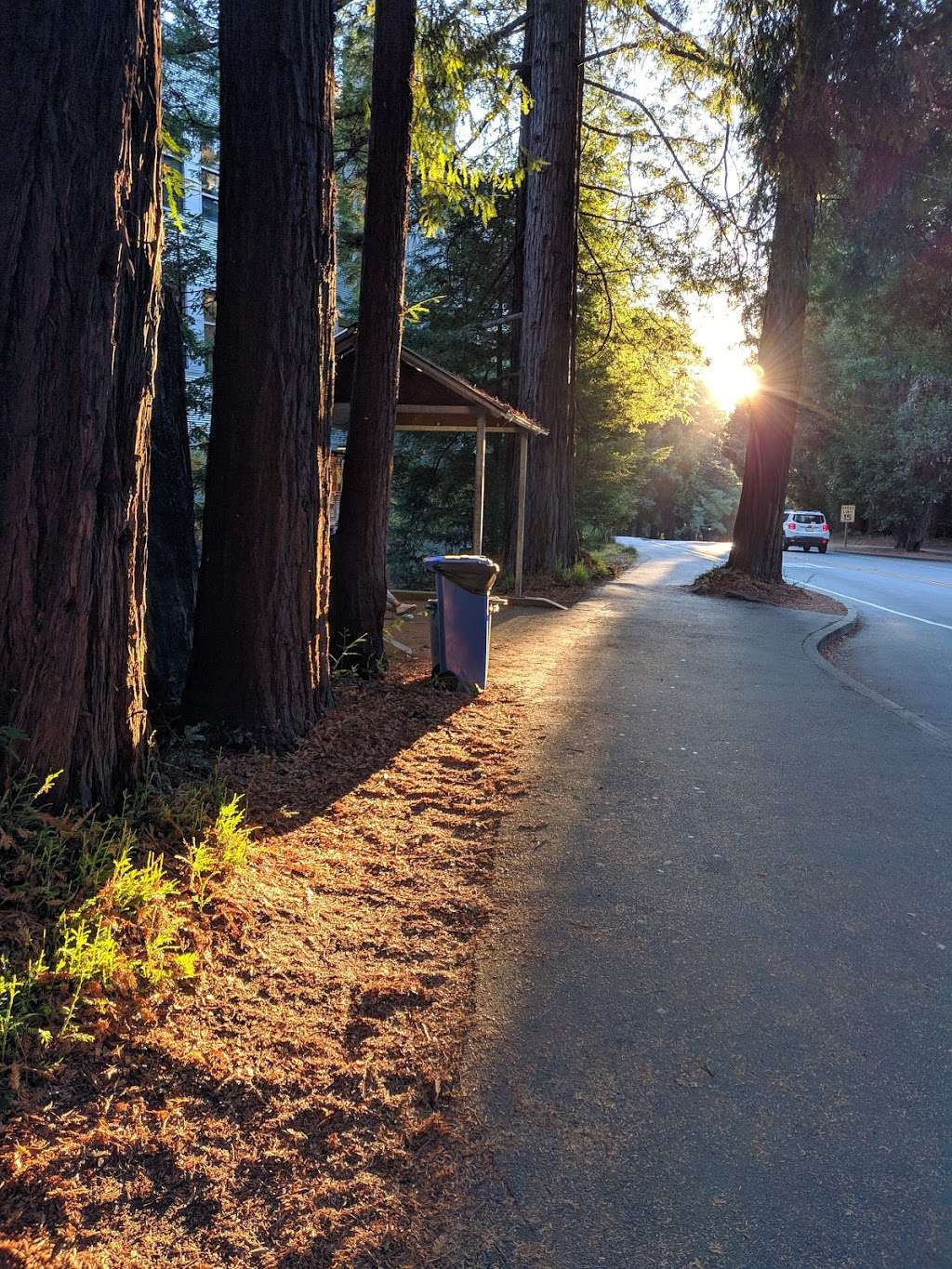 Science Hill (UCSC) | Santa Cruz, CA 95064, USA