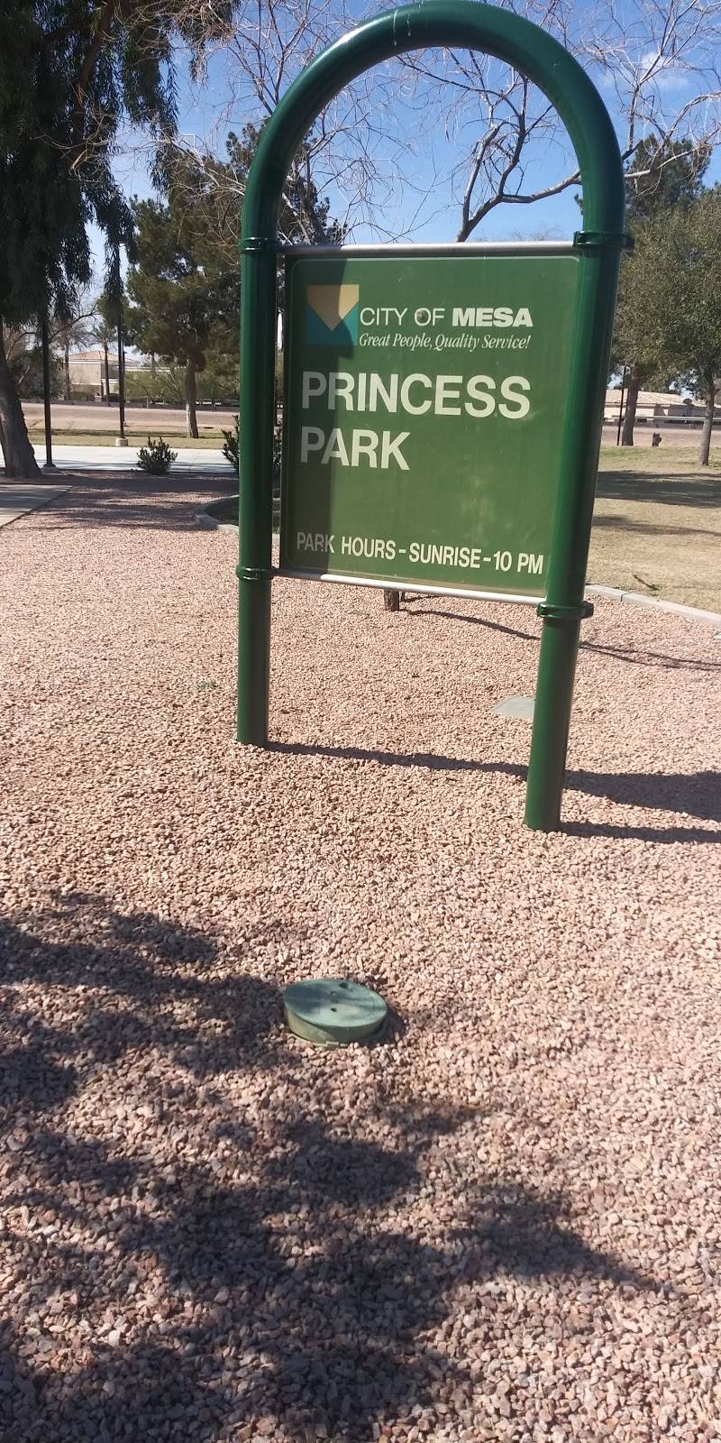 Princess Park | 4461 E Princess Dr, Mesa, AZ 85205 | Phone: (480) 644-2352