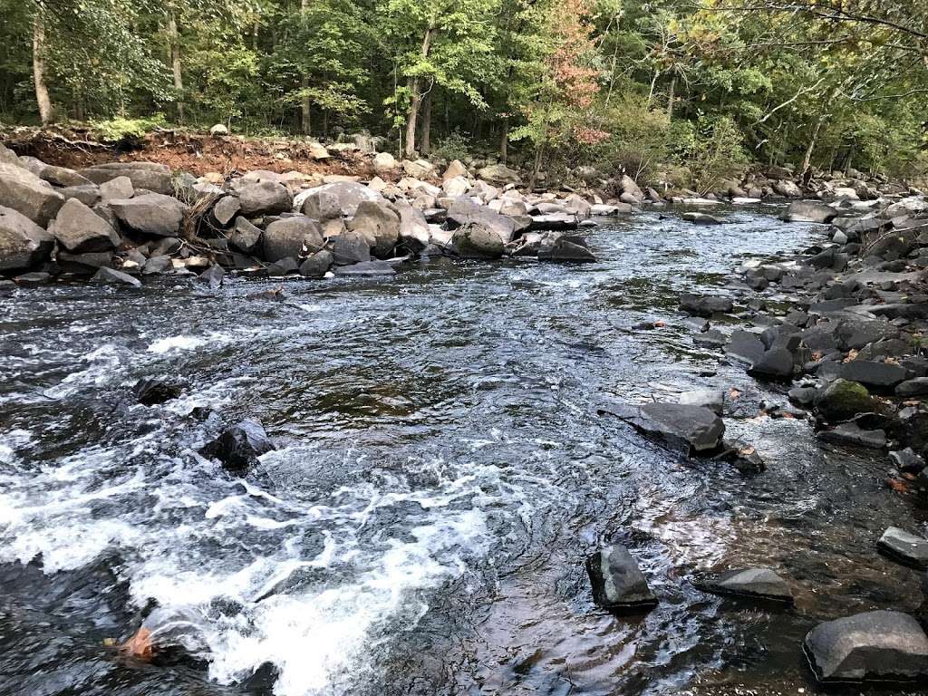 Cub Run Stream Valley Trail | 0534 06 D, Centreville, VA 20120, USA