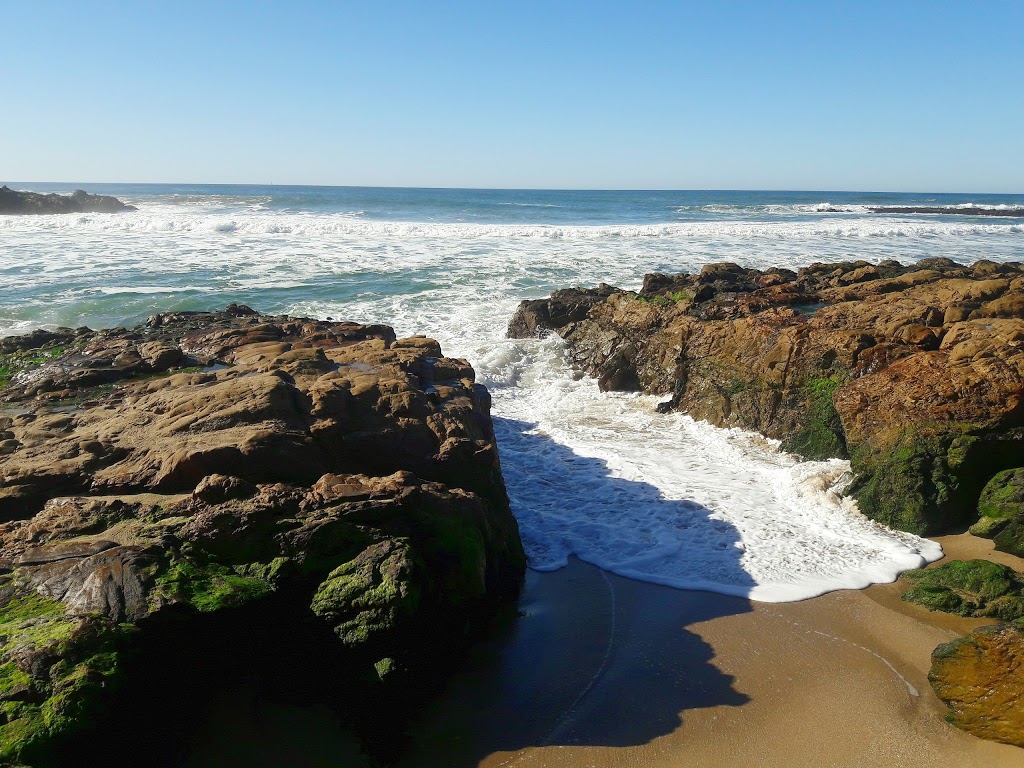 Bean Hollow State Beach | New Years Creek Rd, Pescadero, CA 94060, USA | Phone: (650) 726-8819