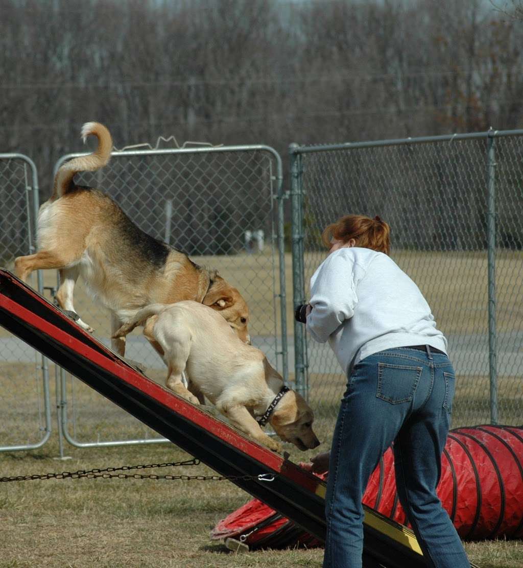 Hanover Dog Park | 12401-12829 Taylor Complex Ln, Ashland, VA 23005, USA