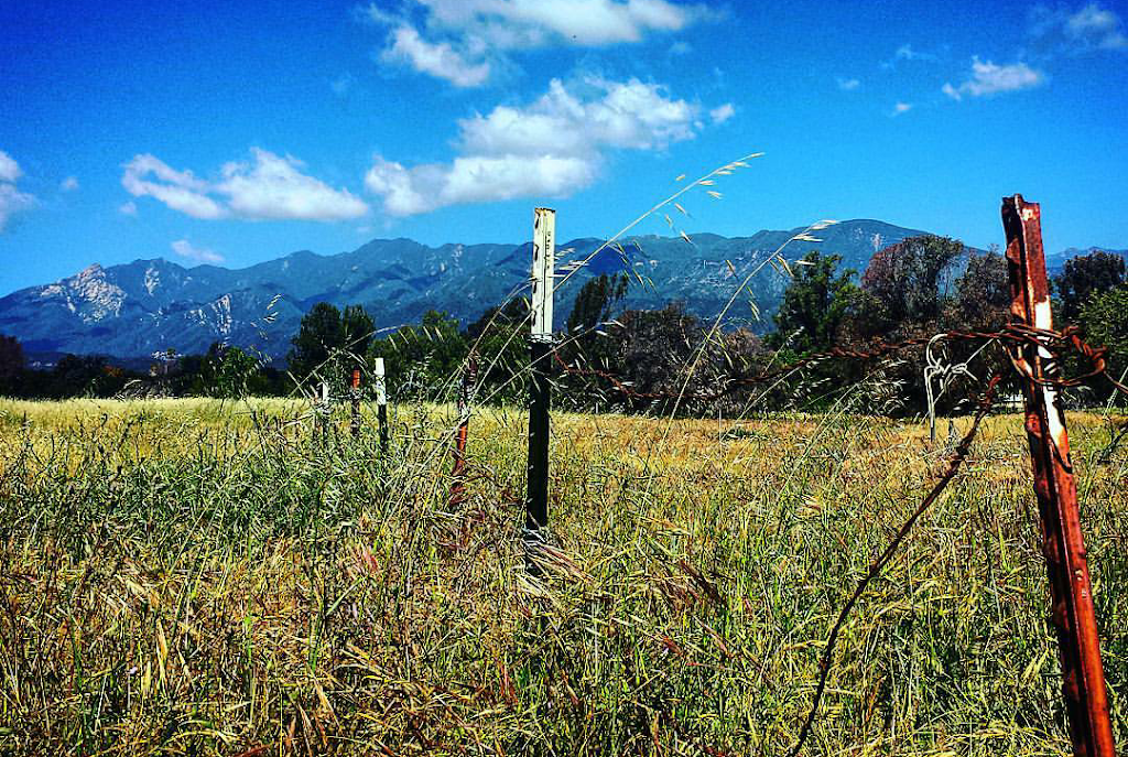 Ojai Meadows Preserve | 1447-, 1601 Maricopa Hwy, Ojai, CA 93023, USA | Phone: (805) 649-6852