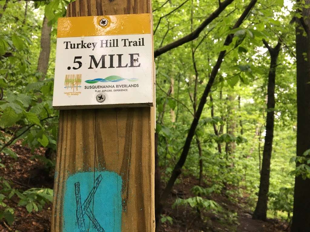 Turkey Hill Nature Preserve | Enola Low Grade Trail, Conestoga, PA 17516, USA