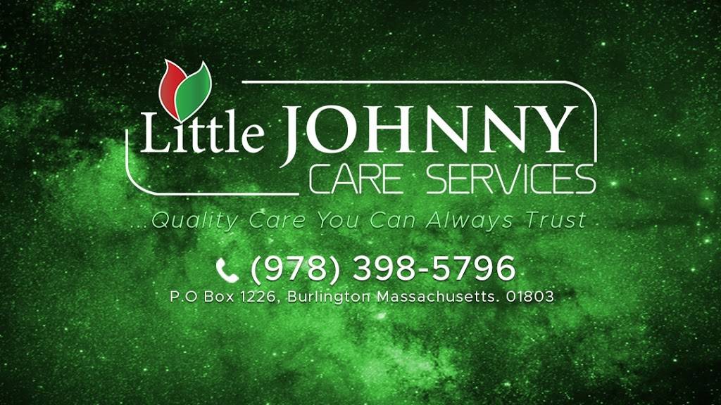 Little Johnny Care Services LLC | 26 Beacon St Apt 24E, Burlington, MA 01803, USA | Phone: (978) 398-5796