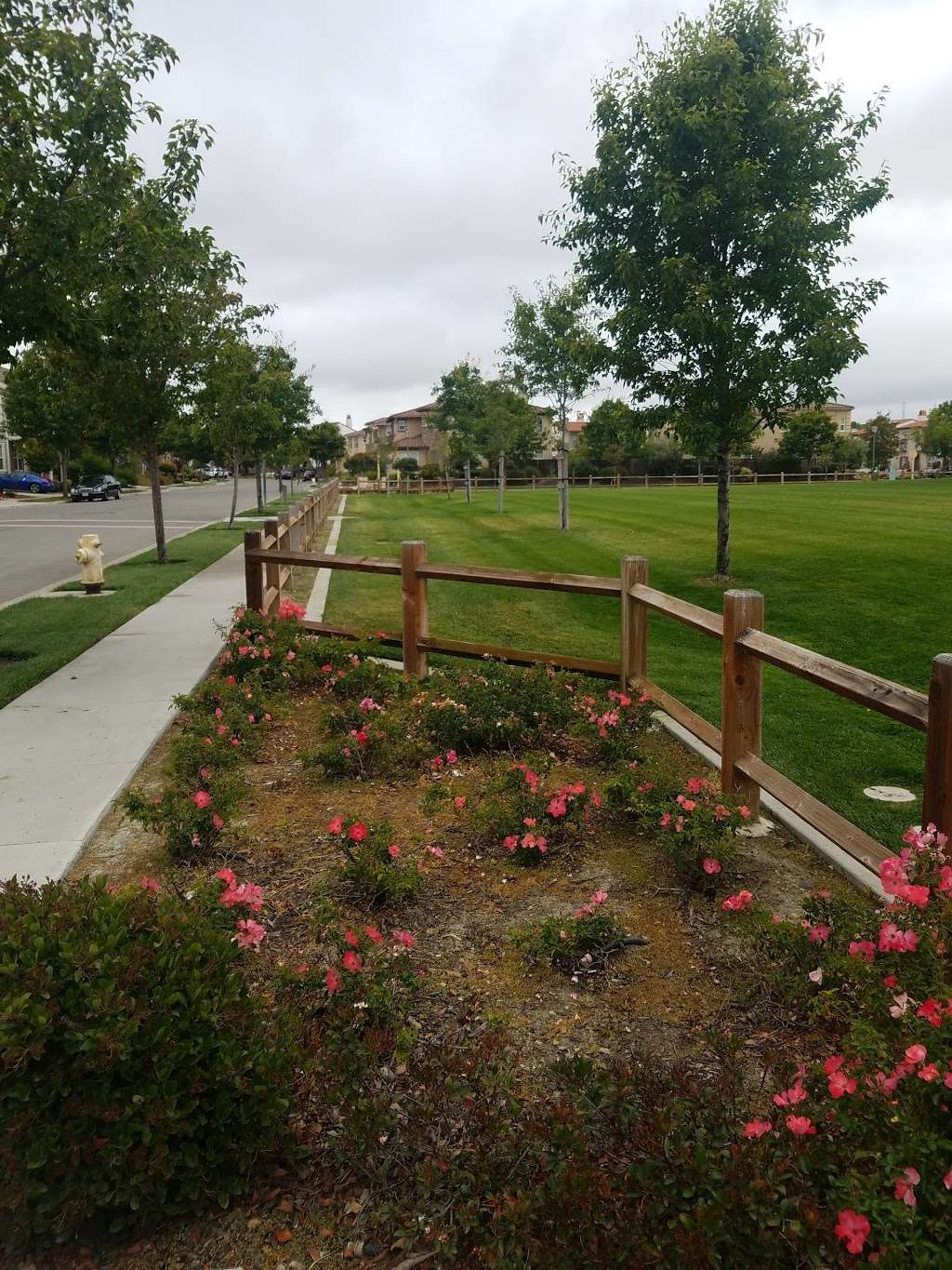 Mosaic Park | 1001 S Wedgewood Rd, San Ramon, CA 94582, USA